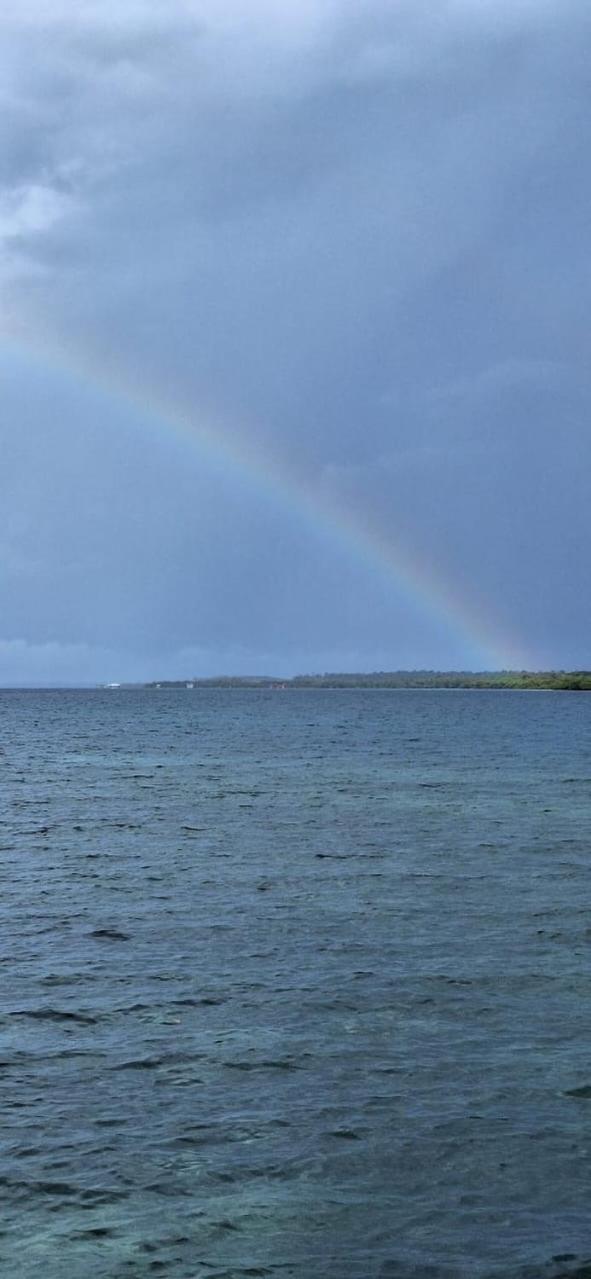 Peaceful Refuge In Quiete Bay Apartamento Bocas Town Exterior foto